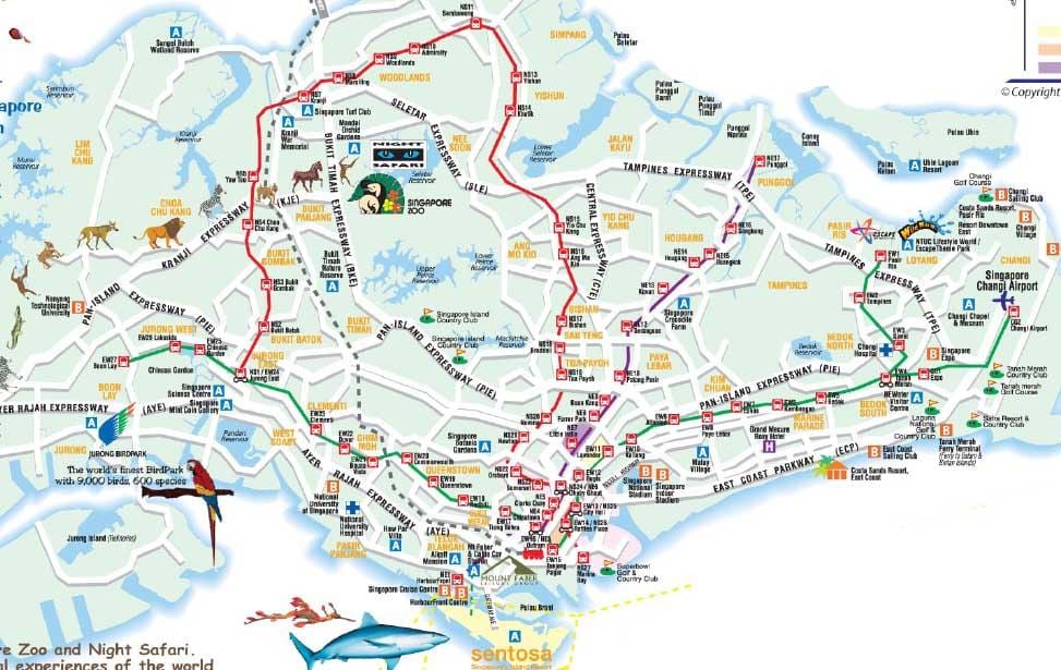 Straßenkarte von Singapur