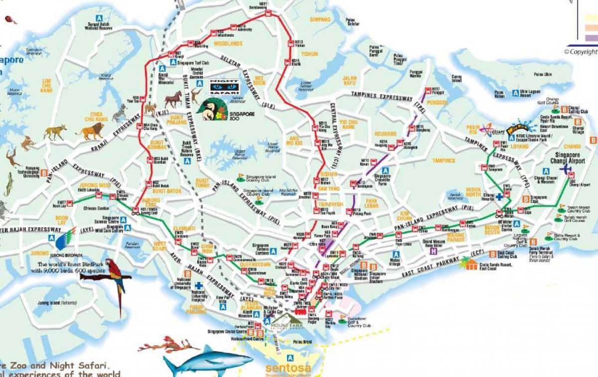 Straßenkarte von Singapur